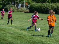 零延迟英超直播_免费观看英超足球直播